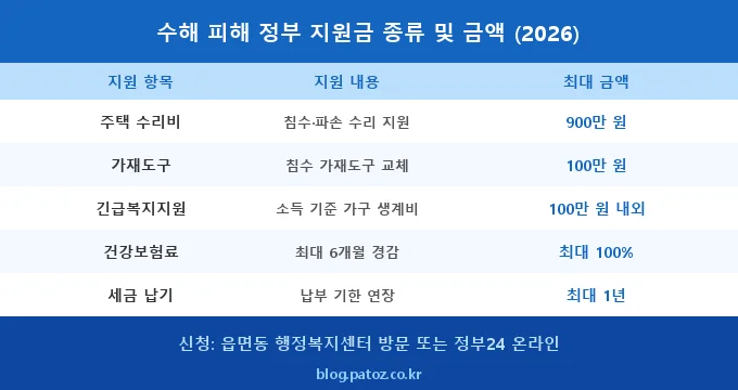 수해 피해 정부 지원금 비교 분석