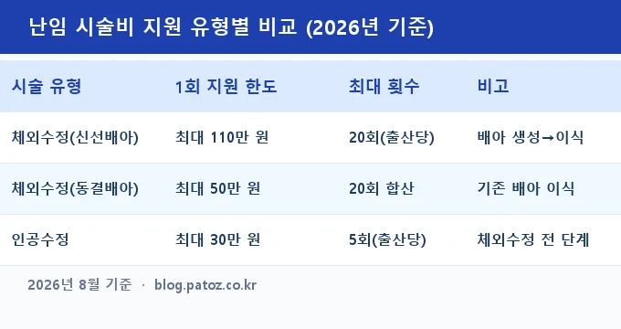 난임 시술비 지원 신청 방법 비교 분석